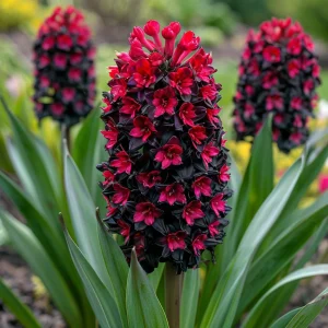 Гиацинт Джем Стоун купить по цене от 2099р. в интернет-магазине «Посадика» с доставкой почтой в в Суворове и по всей России – [изображение №1].