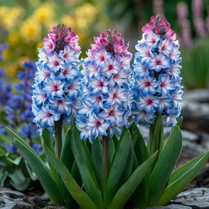 Гиацинт Пинк Мари купить по цене от 2099р. в интернет-магазине «Посадика» с доставкой почтой в в Суворове и по всей России – [изображение №1].