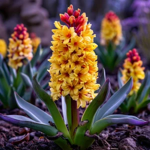 Гиацинт Миднайт Мистери купить по цене от 2099р. в интернет-магазине «Посадика» с доставкой почтой в в Суворове и по всей России – [изображение №1].