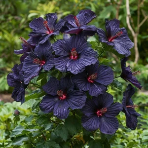 Гибискус Мэджик Момент купить по цене от 699р. в интернет-магазине «Посадика» с доставкой почтой в в Суворове и по всей России – [изображение №1].