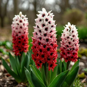 Гиацинт Скай Гарден купить по цене от 2099р. в интернет-магазине «Посадика» с доставкой почтой в в Суворове и по всей России – [изображение №1].